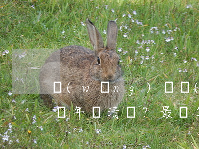 網(wǎng)貸協(xié)商還款：最長幾年還清？最劃算方案是什么？